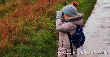 25 things to do with the kids in Hull for February half-term 2023