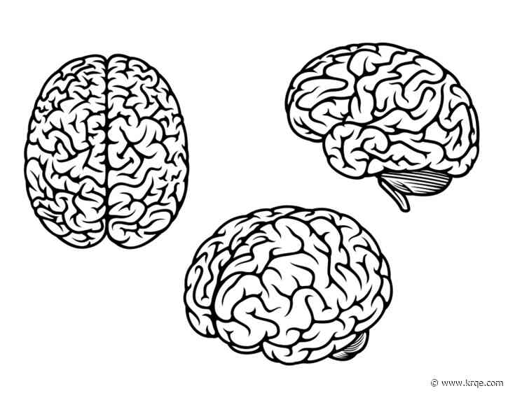 Ultra-processed foods – like cookies, chips, frozen meals and fast food – may contribute to cognitive decline
