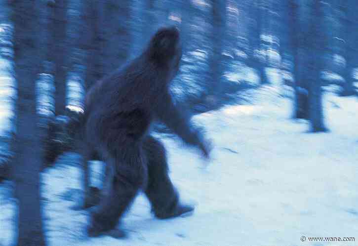Bigfoot sightings can be easily explained, scientist says