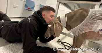 Man says he would 'sell his house to save his dog' as he faces £20,000 vet bill