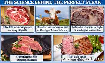 The science of a perfect STEAK - and why you should NEVER cook one from frozen 