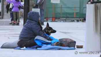 Calls grow to declare Toronto homelessness a public health crisis after extreme cold