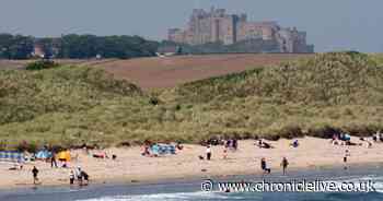 Top 10 things to do in Northumberland according to Tripadvisor reviews from Cragside to Vindolanda