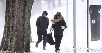 N.S. and N.B. shatter daily temperature records as cold snap sweeps through Maritimes