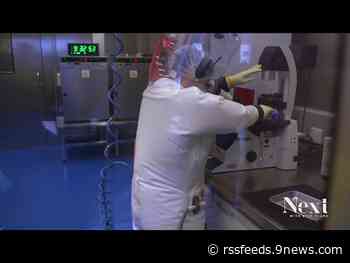 Plans for a bat research facility stir up COVID-19 conspiracists