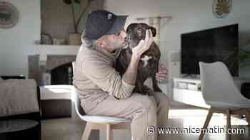 "Si elle n’avait pas été là, on serait tous morts": une chienne sauve ses maîtres d’une intoxication au monoxyde de carbone à Vence