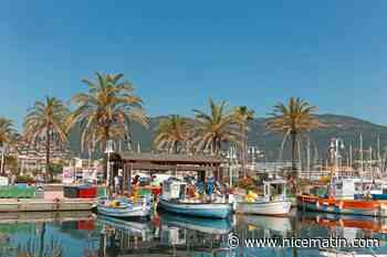 Grâce à une miraculeuse chaîne humaine, deux bébés sauvés de la noyade à Cavalaire