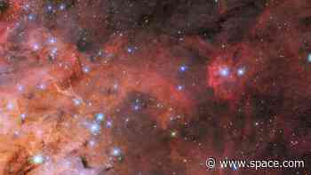 Bright blue stars crawl among Tarantula Nebula clouds in Hubble telescope photo