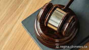 Over 40 dogs found in Fort Qu'Appelle home, court documents show