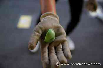 Feds ask RCMP to ban use of sponge rounds, CS gas for crowd control