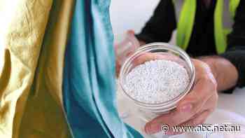 Halfway between Brisbane and the Gold Coast, this city wants to be the next Silicon Valley. Here's how