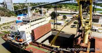 Nufarm biofuel plans gain altitude - first carinata crop becomes avgas