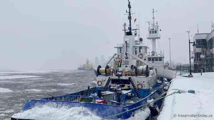 Advocates come together to help sailors stuck for months on tugboats in Quebec port