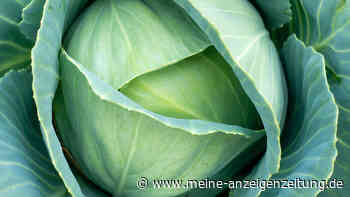 Selbstversorger-Garten für den Notfall: Zehn Obst- und Gemüsesorten sollten Sie anbauen