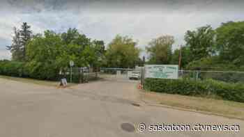 Saskatoon city greenhouses on the verge of being condemned: report