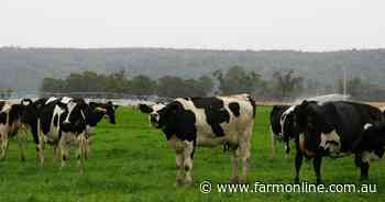 Australian milk production continues to plummet