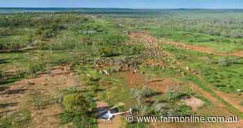 Watch epic video of Australia's $300 million-plus cattle station