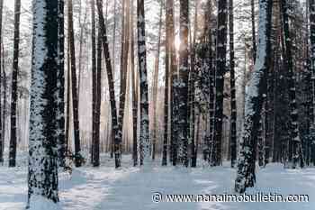 Documentary about vulnerable northern forests will be shown at VIU