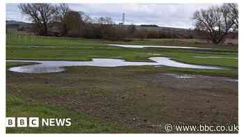 New wetland in Wilton to be planted with 20,000 native plants