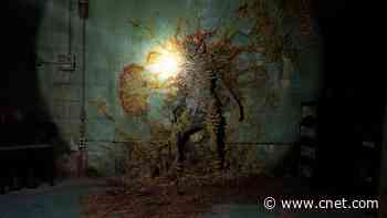 A Scientific Investigation of 'The Last of Us' Fungal Pandemic     - CNET