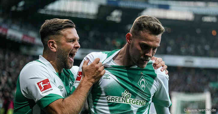 "Hässliche Vögel" im Höhenflug