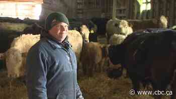 Rate of farmland loss on P.E.I. more than triples