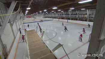 Sask. small-town hockey rink with descending 'catwalk' onto ice grabs internet's attention