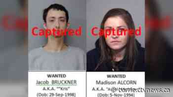Wanted man busted in Barrie