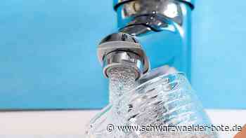 Klimaprojekt Wasser: Zum Duschen in die Bad Wildbader Vital-Therme?