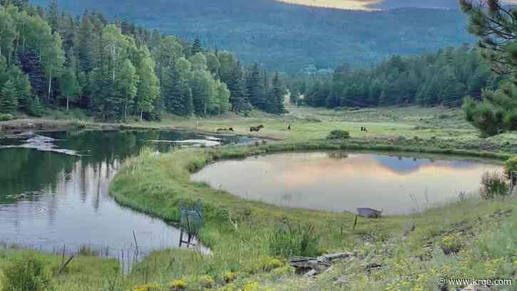 Popular New Mexico campground won't open for the 2023 season