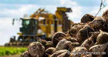 Ernte bei Nordzucker beendet