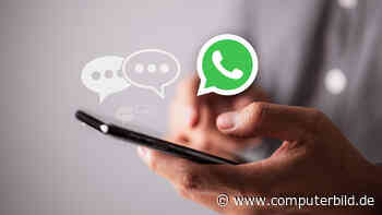 WhatsApp-Trick verrät: Plaudertasche oder Schreibmuffel?