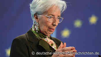 Digitaler Euro: Banken fordern Obergrenzen für jeden Bürger