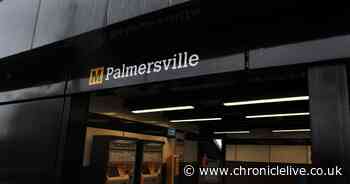 Man tackled to floor of Metro train in Palmersville after trying to steal passenger's bike