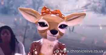 Masked Singer's Fawn 'suspect' Natalie Appleton fuels speculation by meeting up with ex contestant