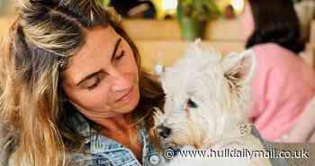 Woman ignores vet advice to put dog down three times, now canine is 18 years old and ‘thriving’