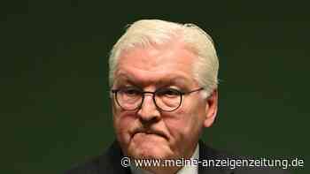 Steinmeier: Müssen deutsche Demokratie wehrhaft machen