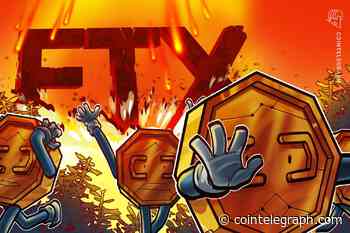 FTX CEO testifies on 'pure hell' post-bankruptcy days at exchange