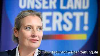 10-jähriges Bestehen der AfD: Die Alternative, die keine ist