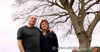 Gateshead couple in row with council over tree they claim is ruining their garden
