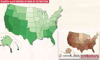 America's extinction crisis: Data shows more than 33% of biodiversity could disappear
