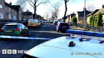 Huddersfield: Woman arrested after three children stabbed