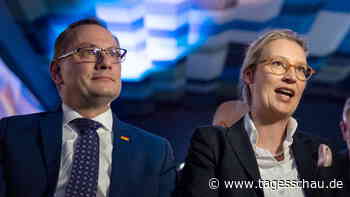 AfD feiert zehnjähriges Jubiläum