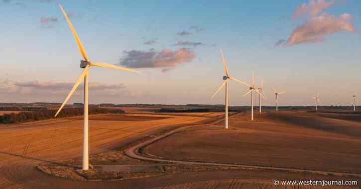 Green Fail: Dozens of Windmills Bailed Out by Diesel Generators - And Look What They Sprayed Into the Countryside