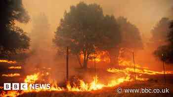 PG&E to stand trial over deadly California wildfire