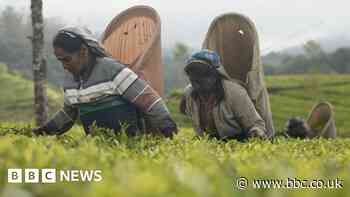 Can Sri Lanka trade its way back to prosperity?