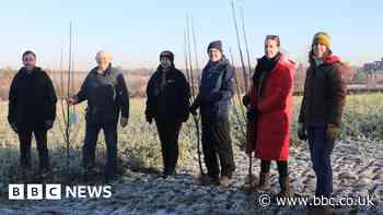 Warwick Council joins farmers to plant trees in their thousands