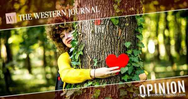 The Left Is Wrong: Thanks to 'Global Warming,' We Actually Have More Trees