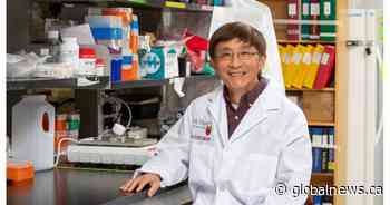 McMaster researcher wins immunology award for work tied to inhalable COVID vaccine