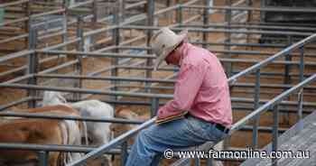 Get your cattle buying boots on, now's the time to move